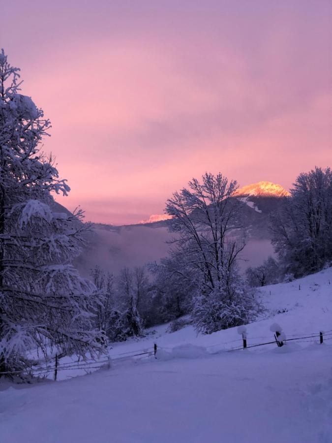 Chapamama Bed and Breakfast Aillon-le-Vieux Buitenkant foto